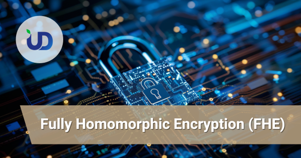 Understanding the Commercial Value of AI+FHE Homomorphic Encryption in One Article feature image